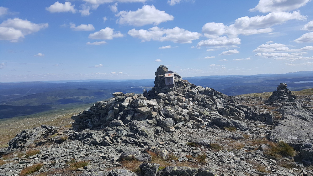 Gråhøa