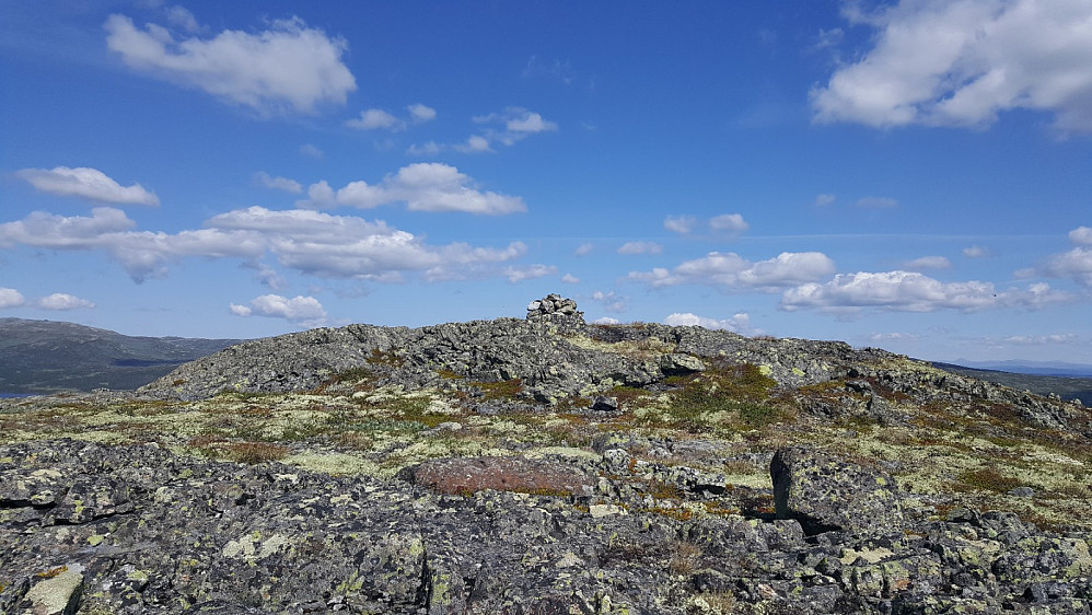 Veslehøa