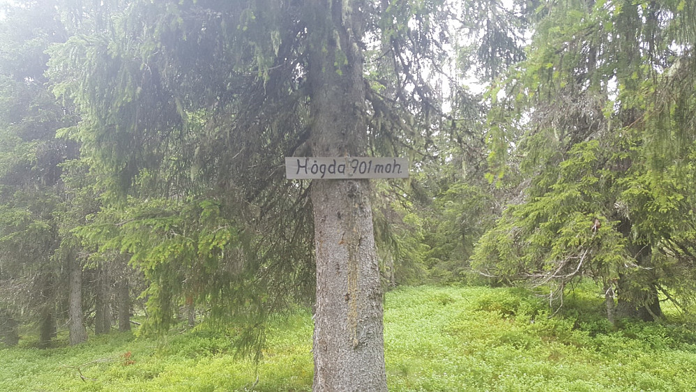 På Storseterhøgda