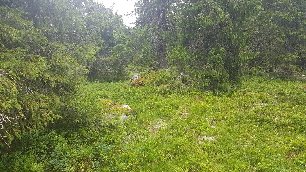 På Storseterhøgda