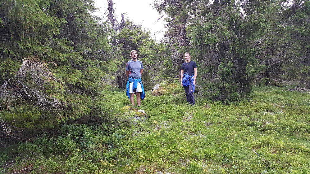 På Storseterhøgdas høyeste punkt
