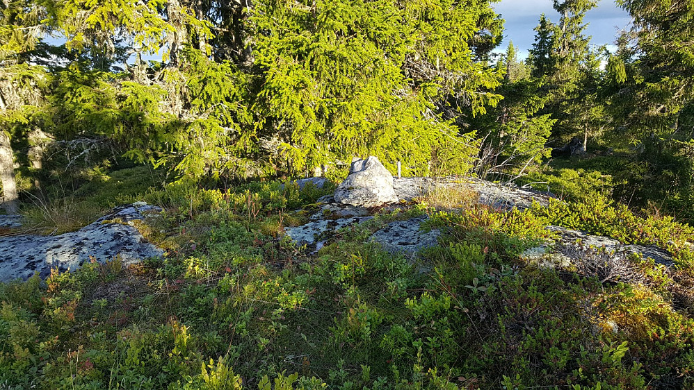 Rindåsen trigpunkt.punkt med liten nybygd varde
