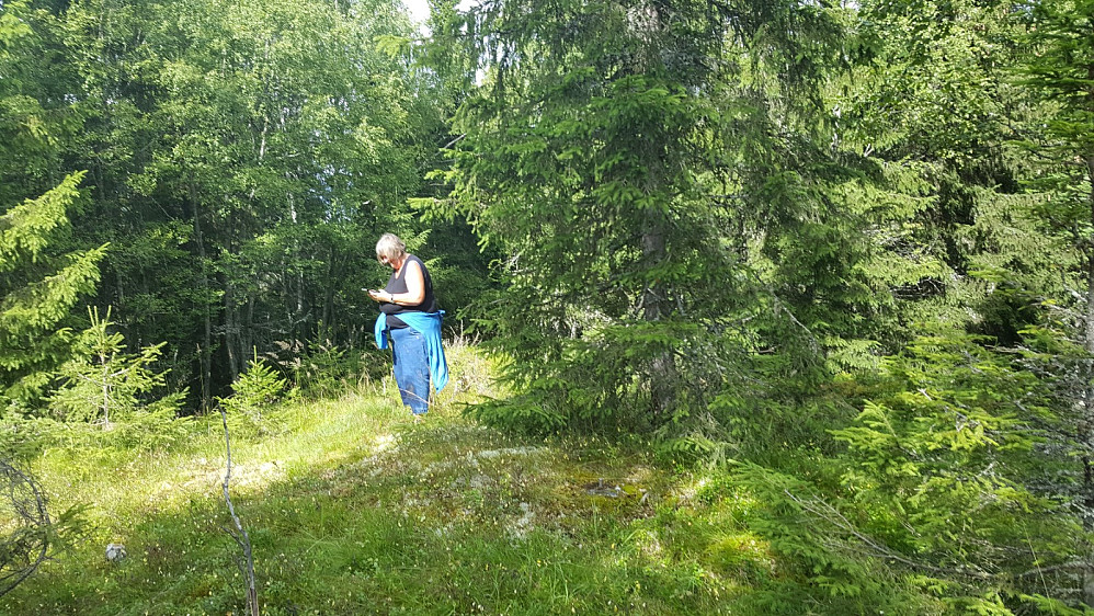 Sigrid på toppunktet på Solbergåsen