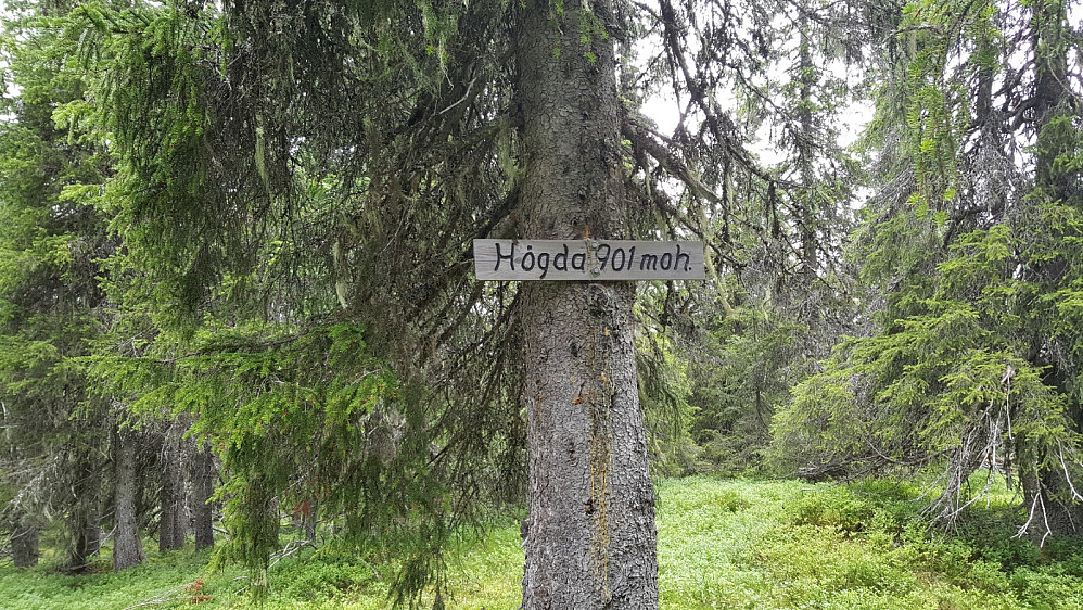Storseterhøgda