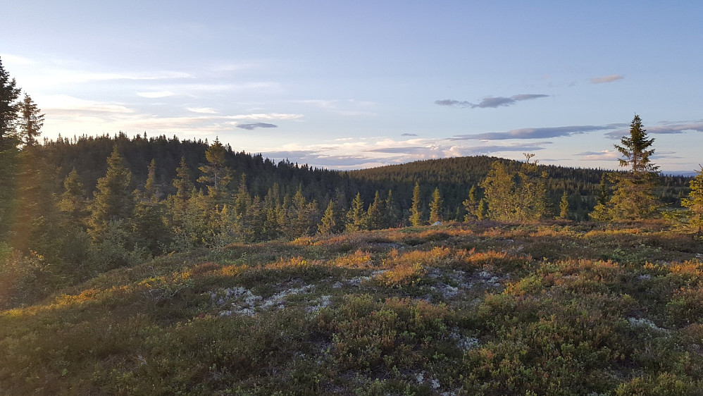 Østre Veslehaugen mot Storhaugen og Grøtåshaugen