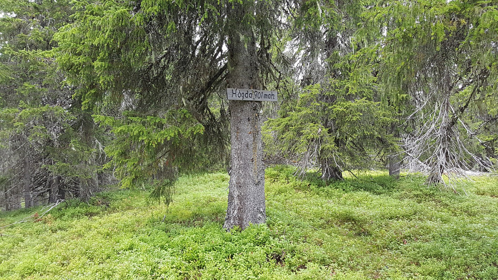 På Storseterhøgda