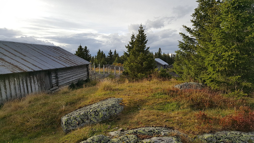 Rindåsen