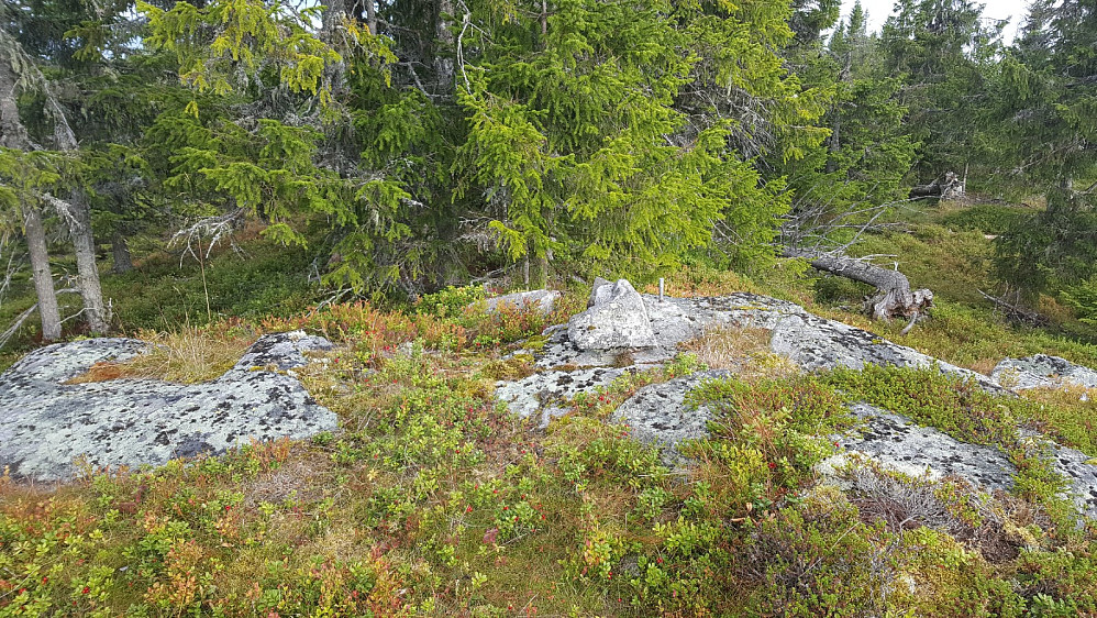 Rindåsen trigpunkt