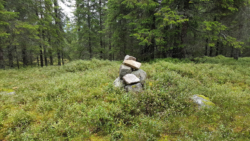Botshaugkampen toppunkt