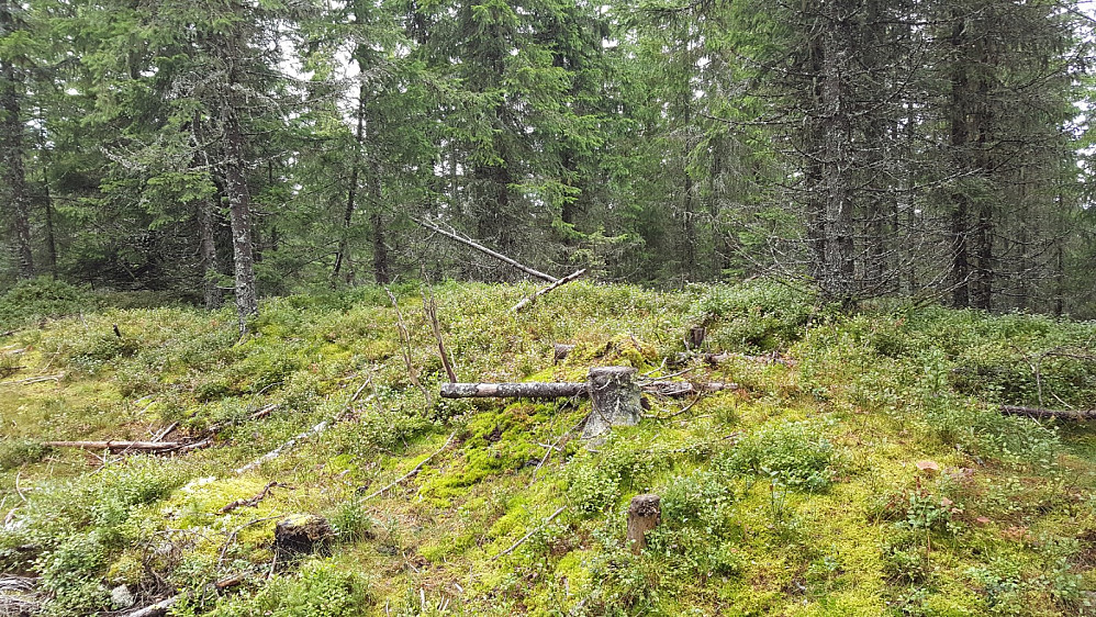 Kinnsæterhøgda toppunkt