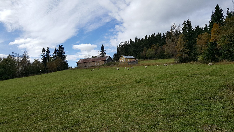Lundsvea