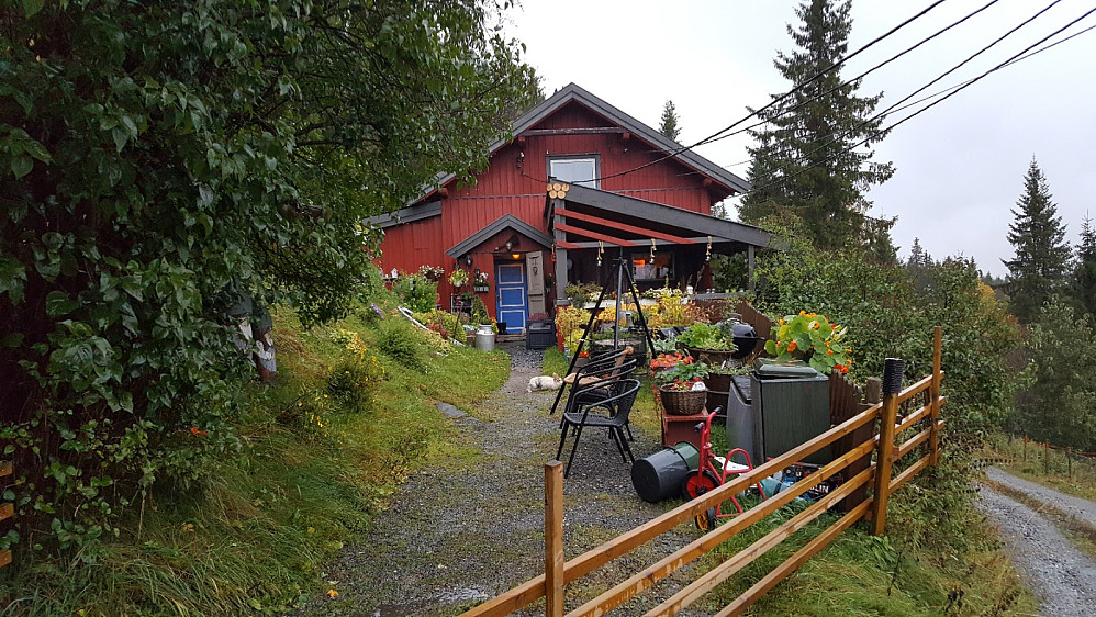 Øfsthågå