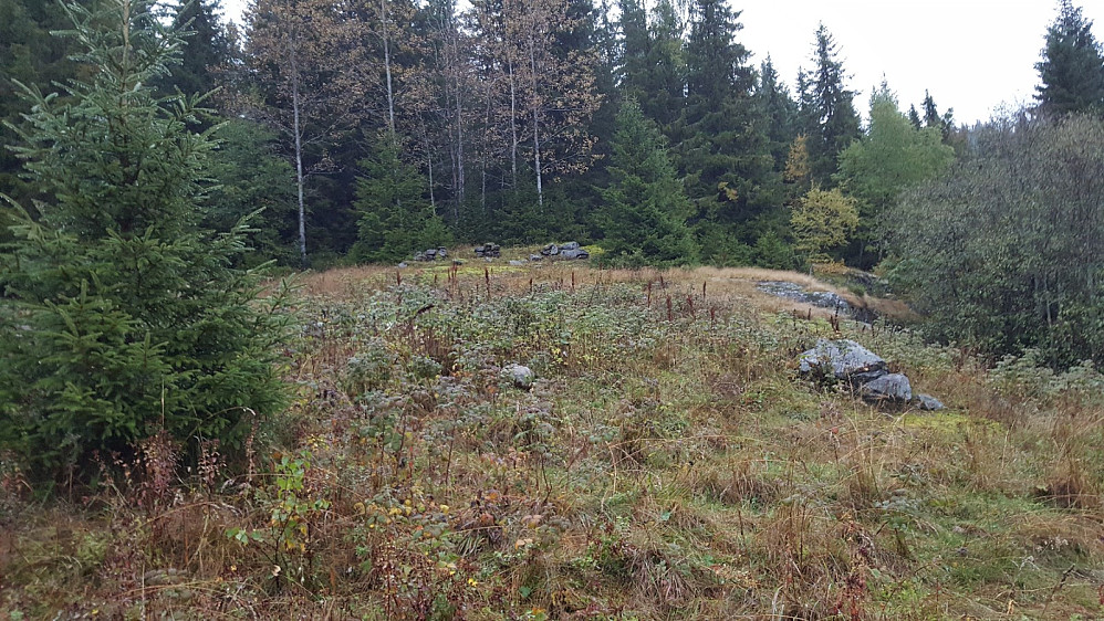 Hustufter på husmannsplassen Høljesvea, som lå under Synsthågå