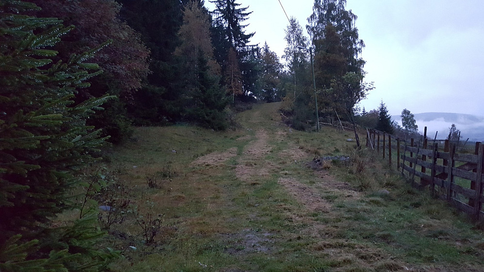 Dragstarten i lysløypa