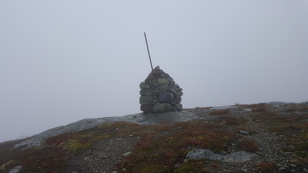 Gammelhans i tåke