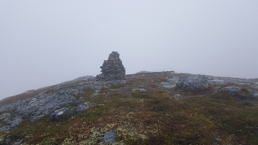 Myssmørhelje i tåke