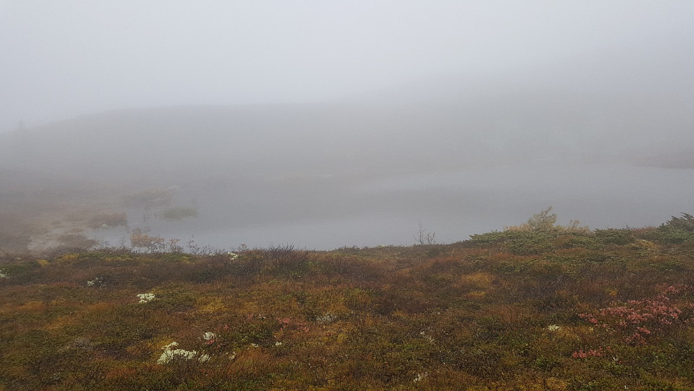 Lite tjern ned for Gammelhans, vanligvis uten vatn