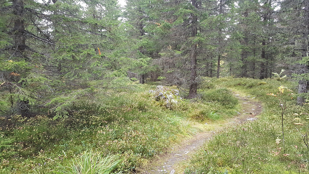 Kanthaugen, Peakbook toppunktet