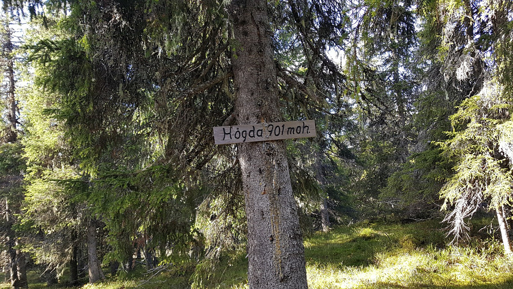 Storseterhøgda