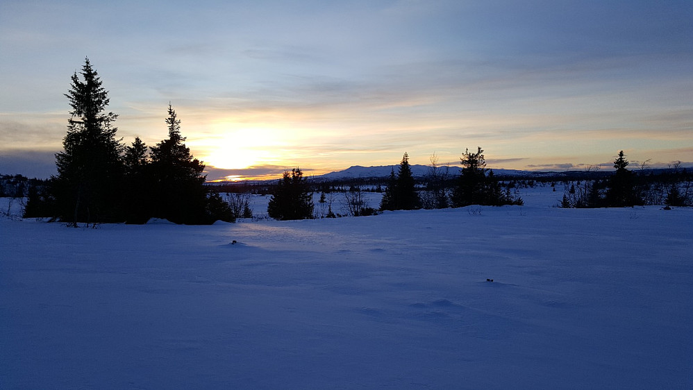 Utsikt mot Synnfjellet
