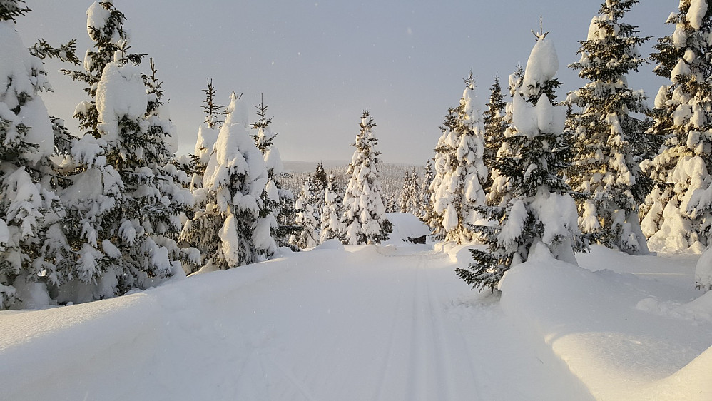 På Veslesetra, mot Tøftumssetra