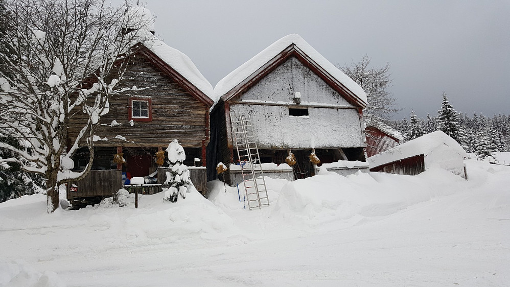 Mye snø på Nygaard