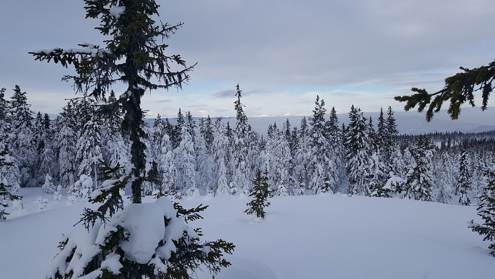 På Rindåsen trigpunkt