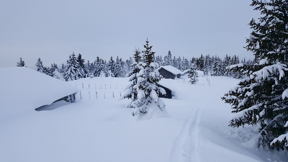 Rindåsen