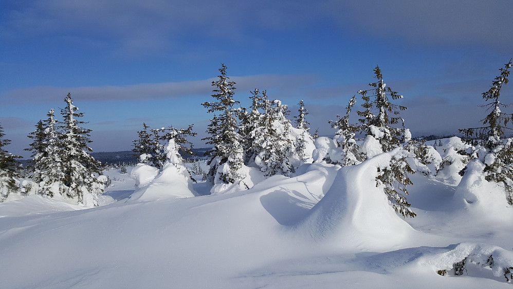 Rypefjellet