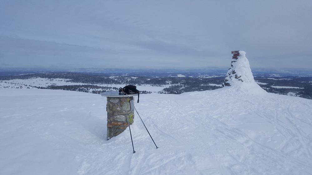 Prestkjerringa