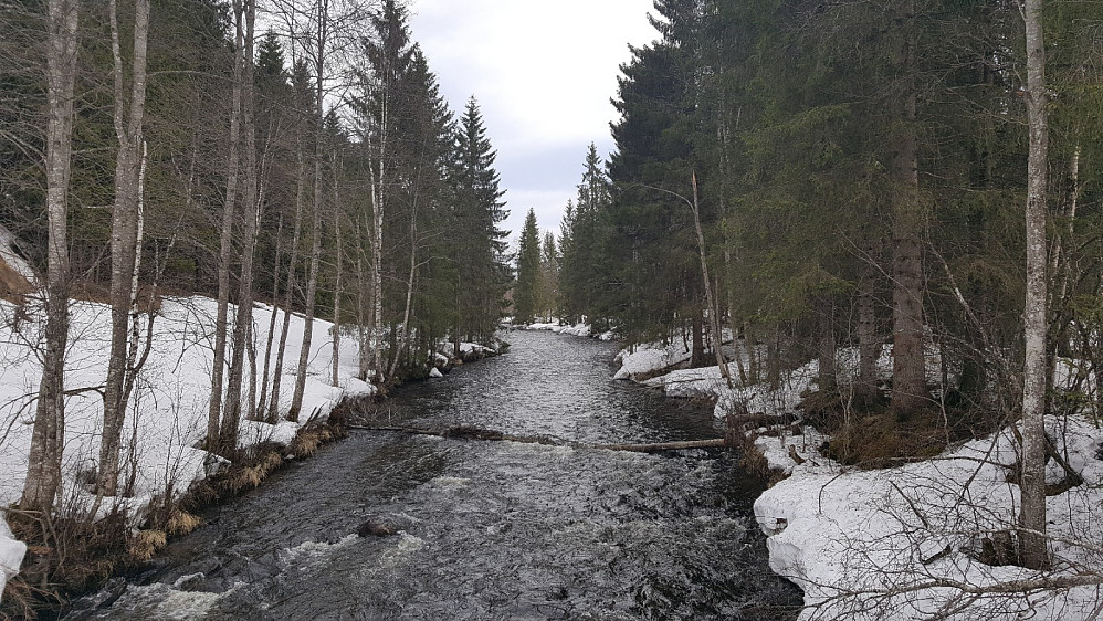 Augga ved Ulsrubrua