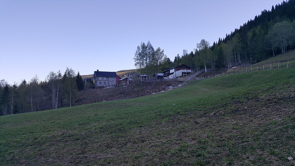 Nygaardssvea