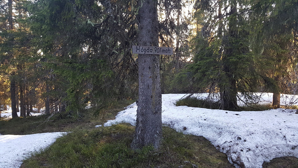 Storseterhøgda