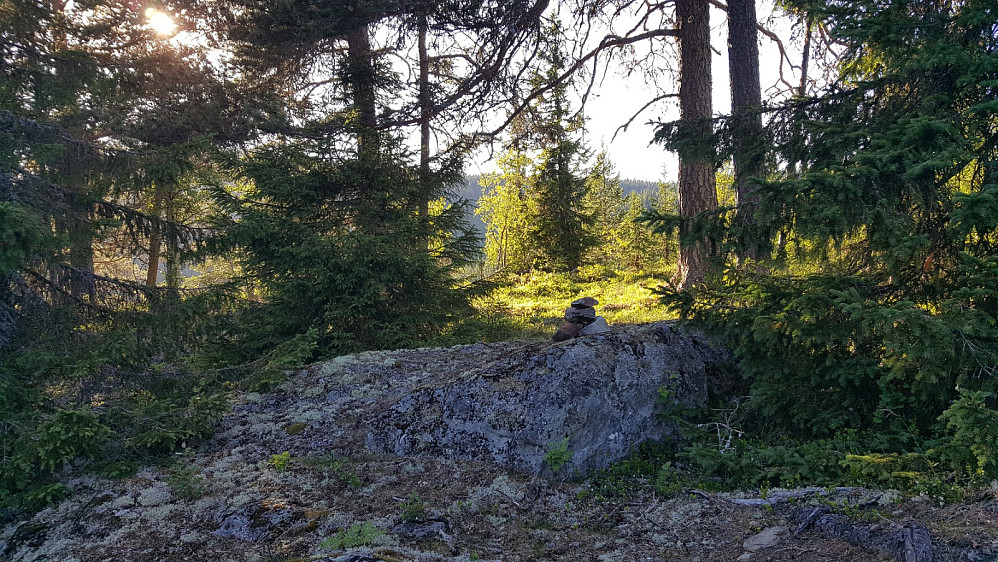 Evenvoldkollen