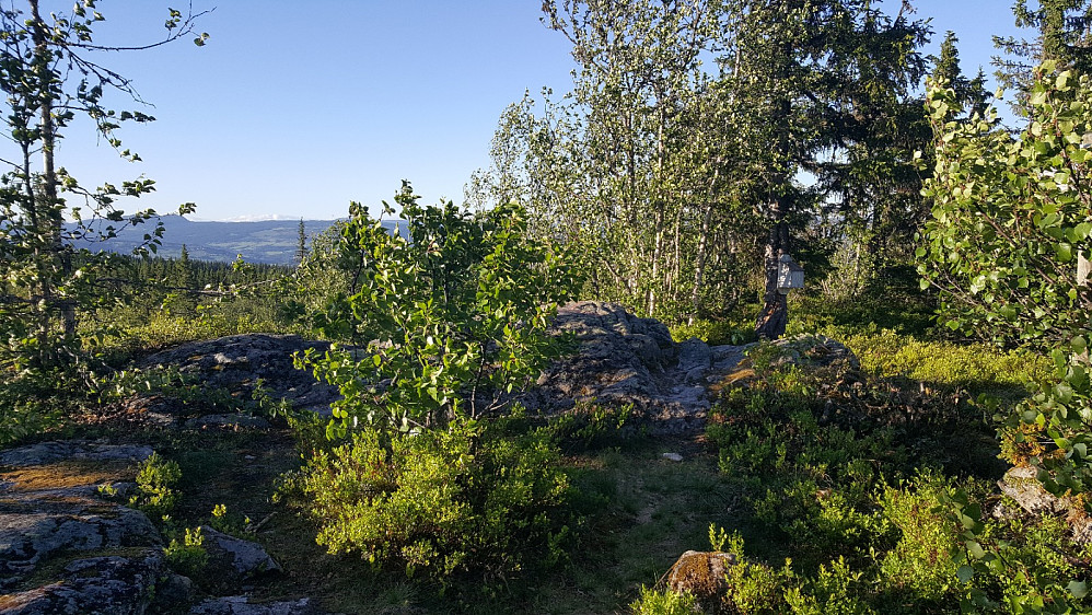 Vardkampen