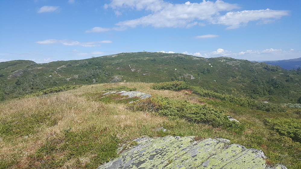 På søre Skjenafjellet