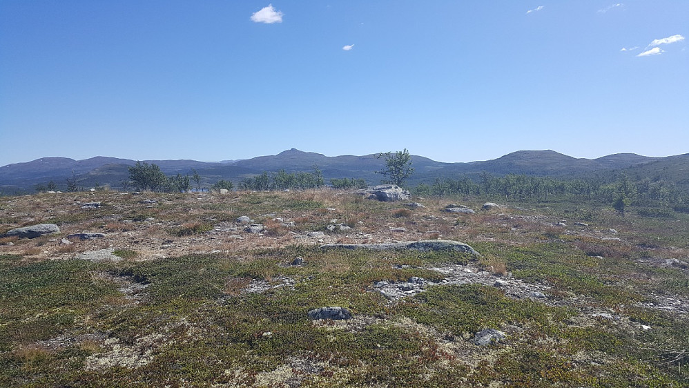 Reinsjøhaugen, mot Djuptjernskampen