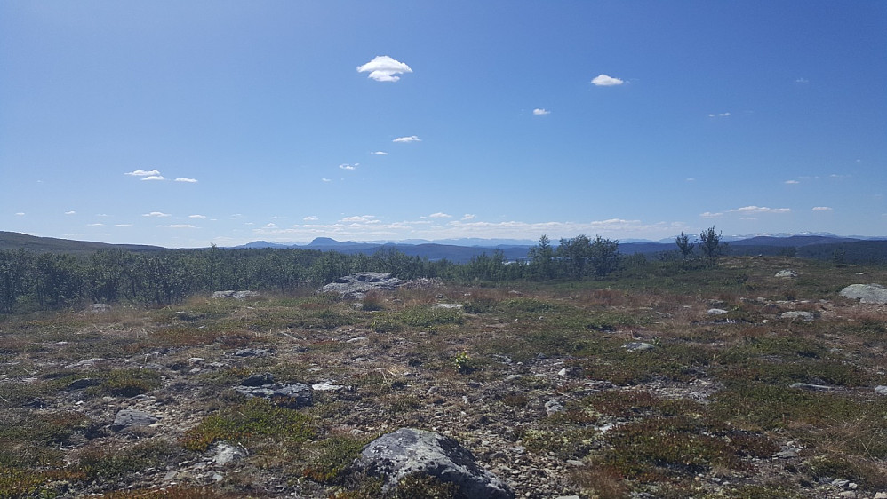 Reinsjøhaugen, mot Melladn
