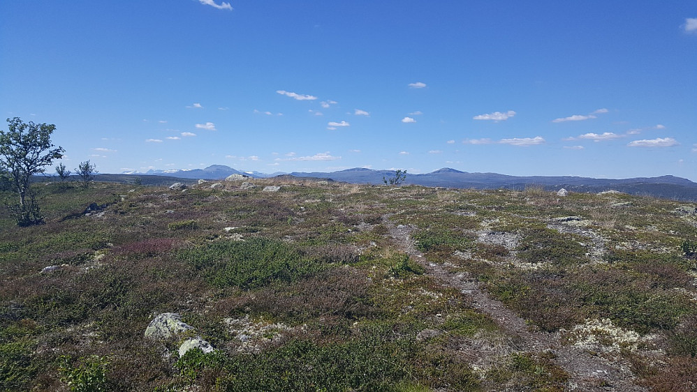 Reinsjøhaugen, mot Skaget og Langsuene