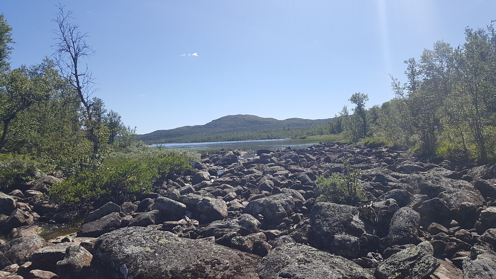 Osen på Øvre Reinsjøen