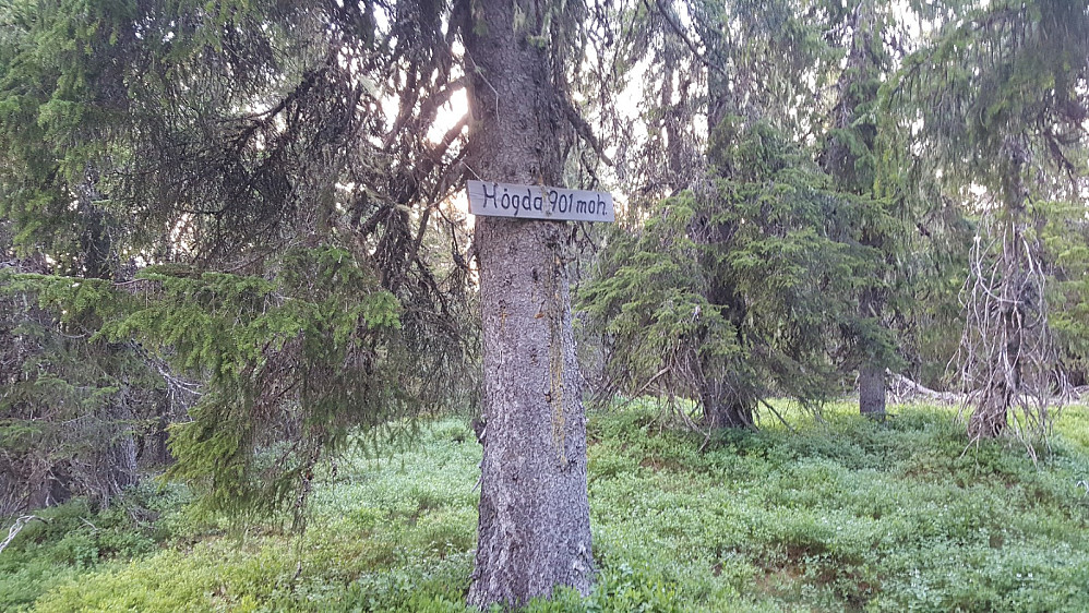 Storseterhøgda