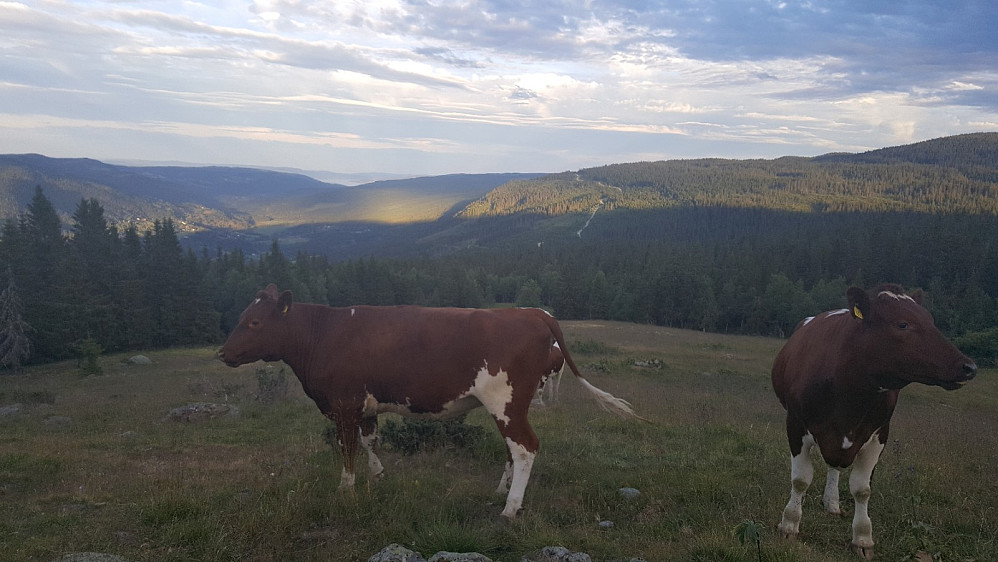 På Storsetra
