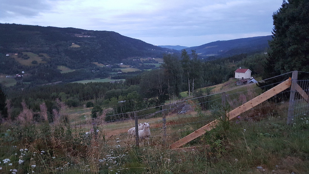 Utsikt fra Hakkerudhaugen