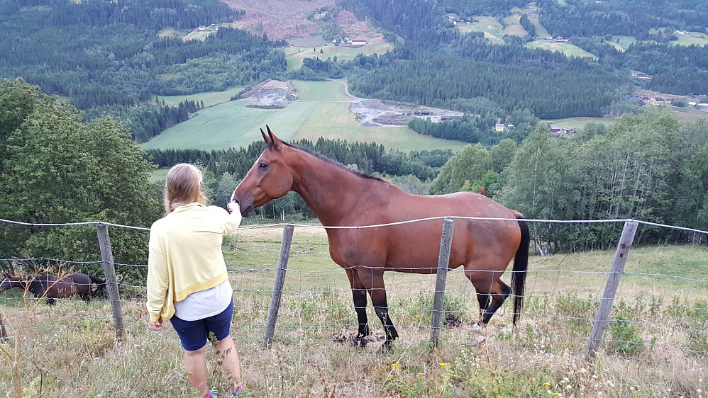 Mari med flott hest på Ånrud