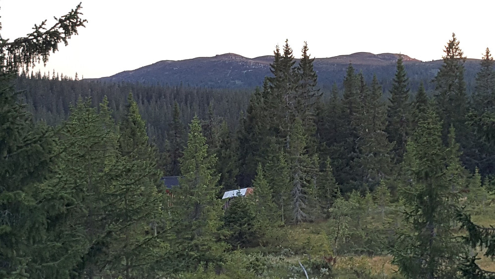 Gammelhans fra Skårsetra