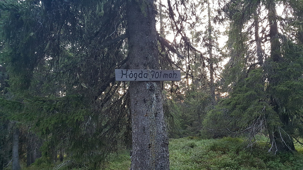 Storseterhøgda