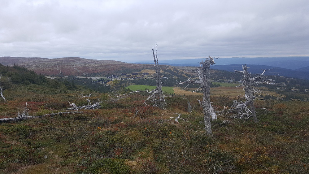 På Hafjell, mot Ilsetra og Slåseterfjellet