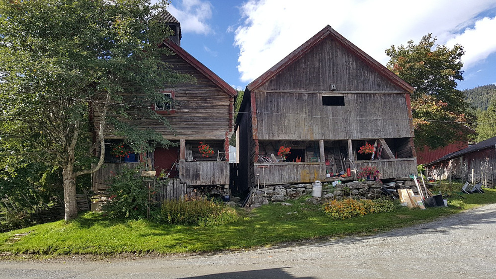 Nygaard