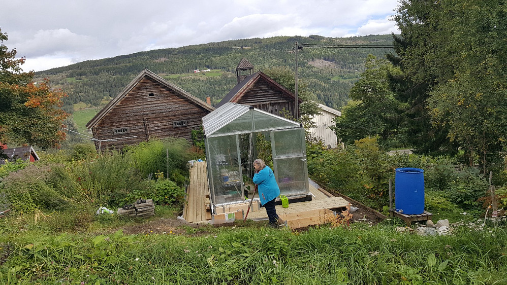 Margrethe jobber ved drivhuset