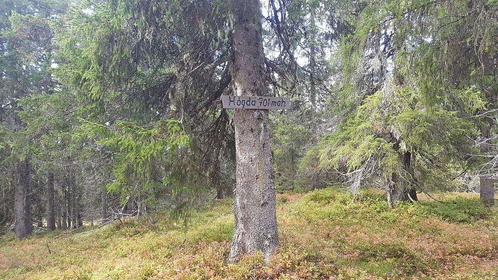 Storseterhøgda